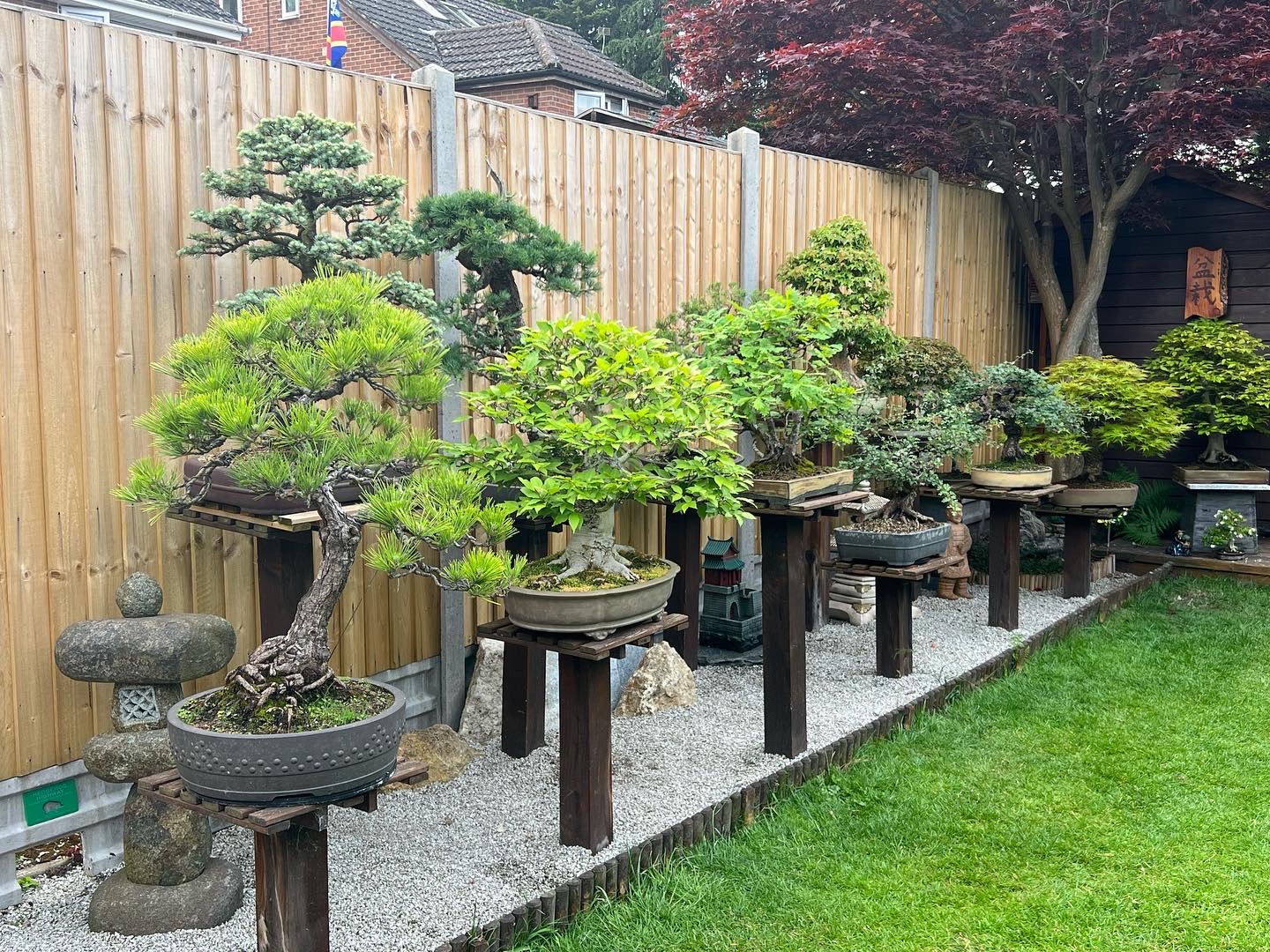 Bonsai garden in the New Forest